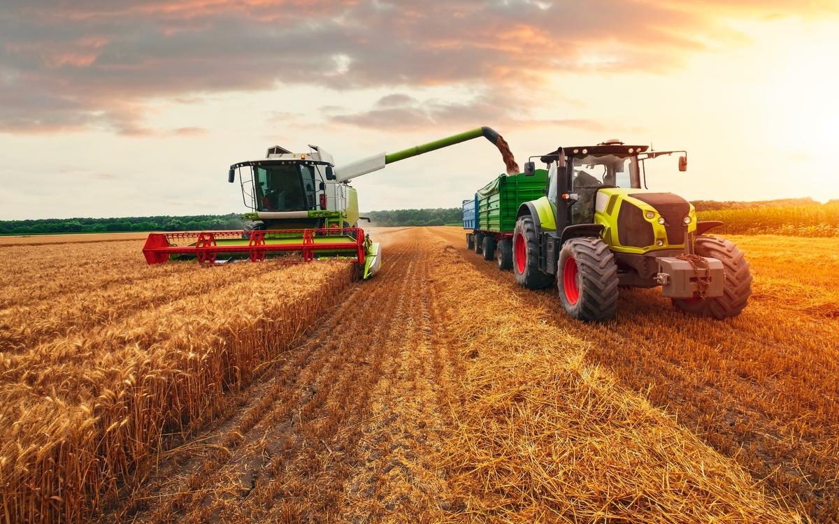 Фото: Shutterstock