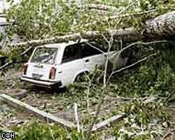 Власти Подмосковья компенсируют ущерб от недавнего урагана