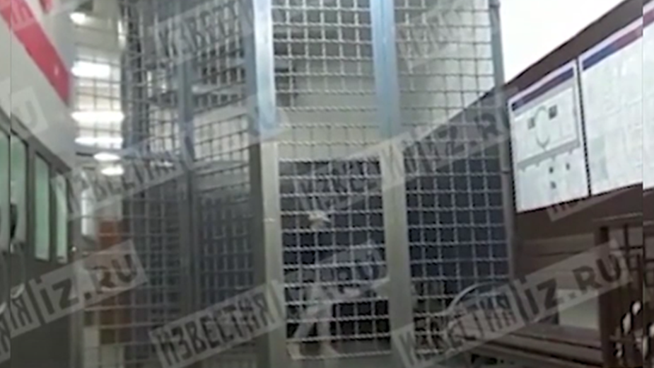 Появилось видео с задержанным Умаром Джабраиловым в КПЗ