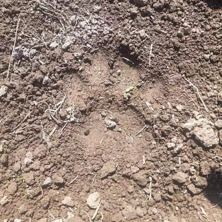 центр «Амурский тигр»