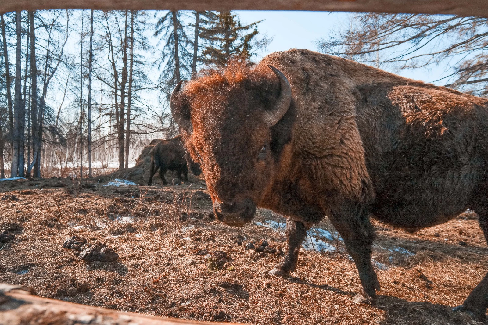 пресс-служба правительства Республики Саха (Якутия)