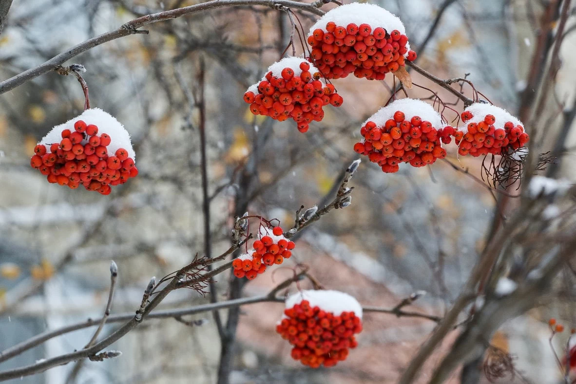 Денис Моргунов / URA.RU