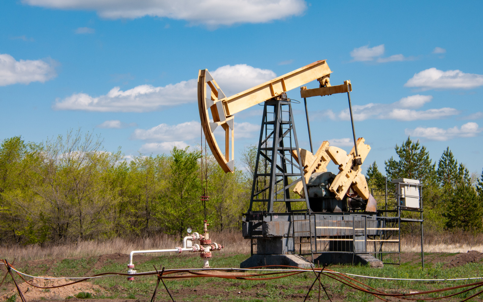 Фото: Svetlana Vozmilova / Global Look Press