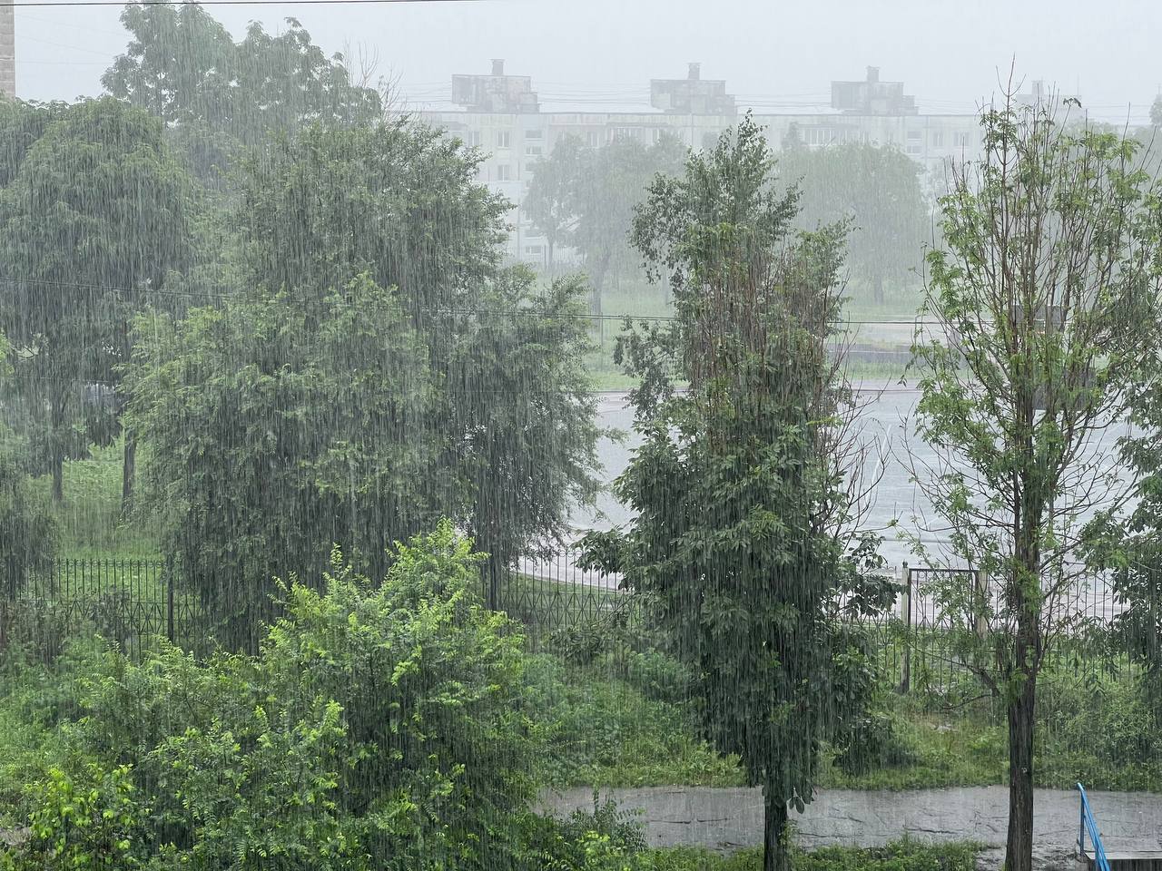 Фото: РБК Приморье