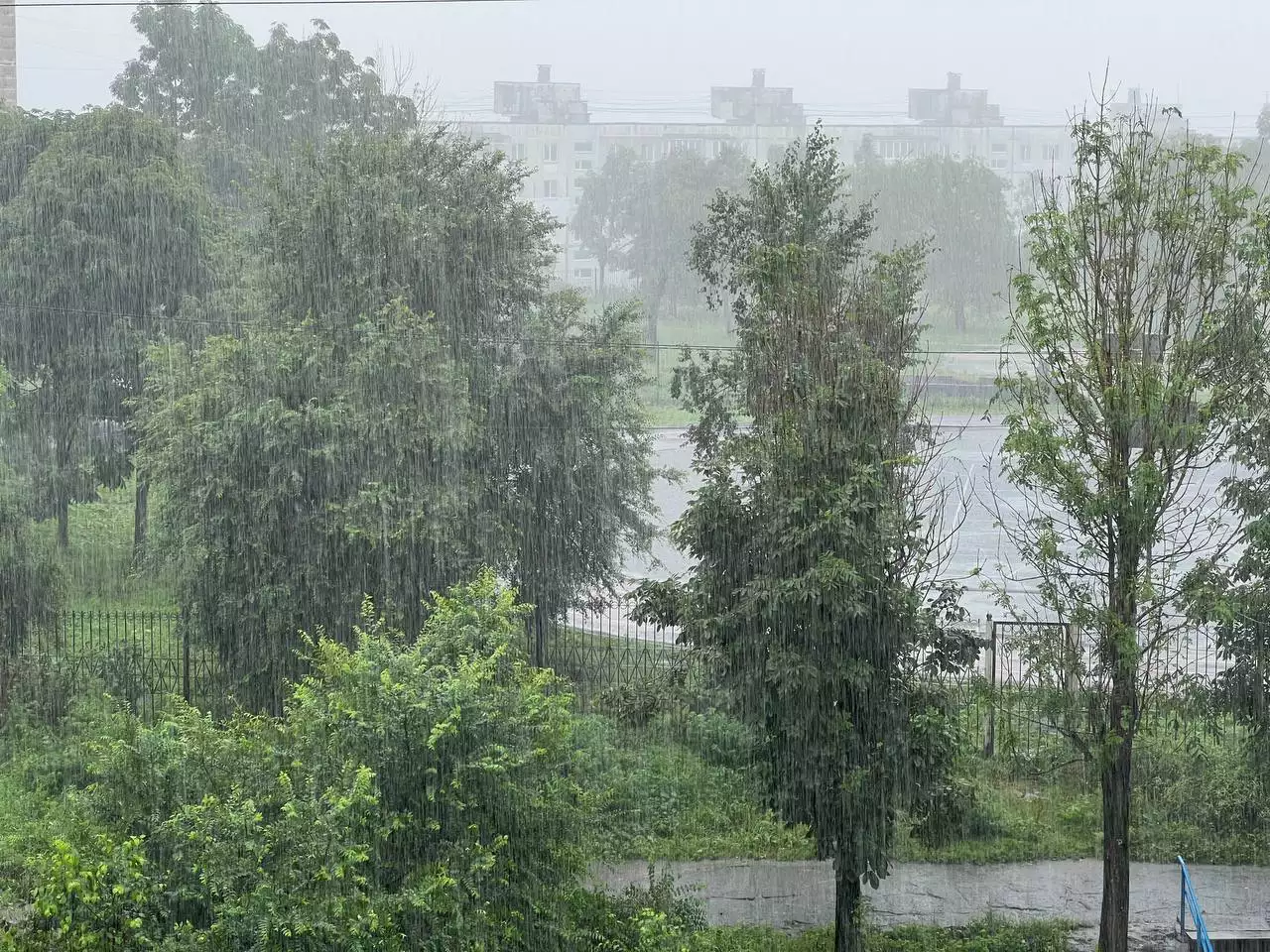 РБК Приморье