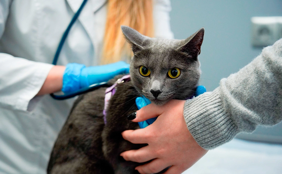 Александр Авилов / АГН «Москва»