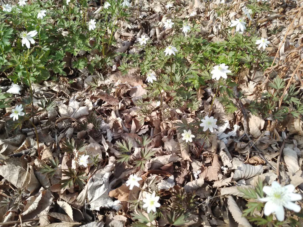 РБК Приморье