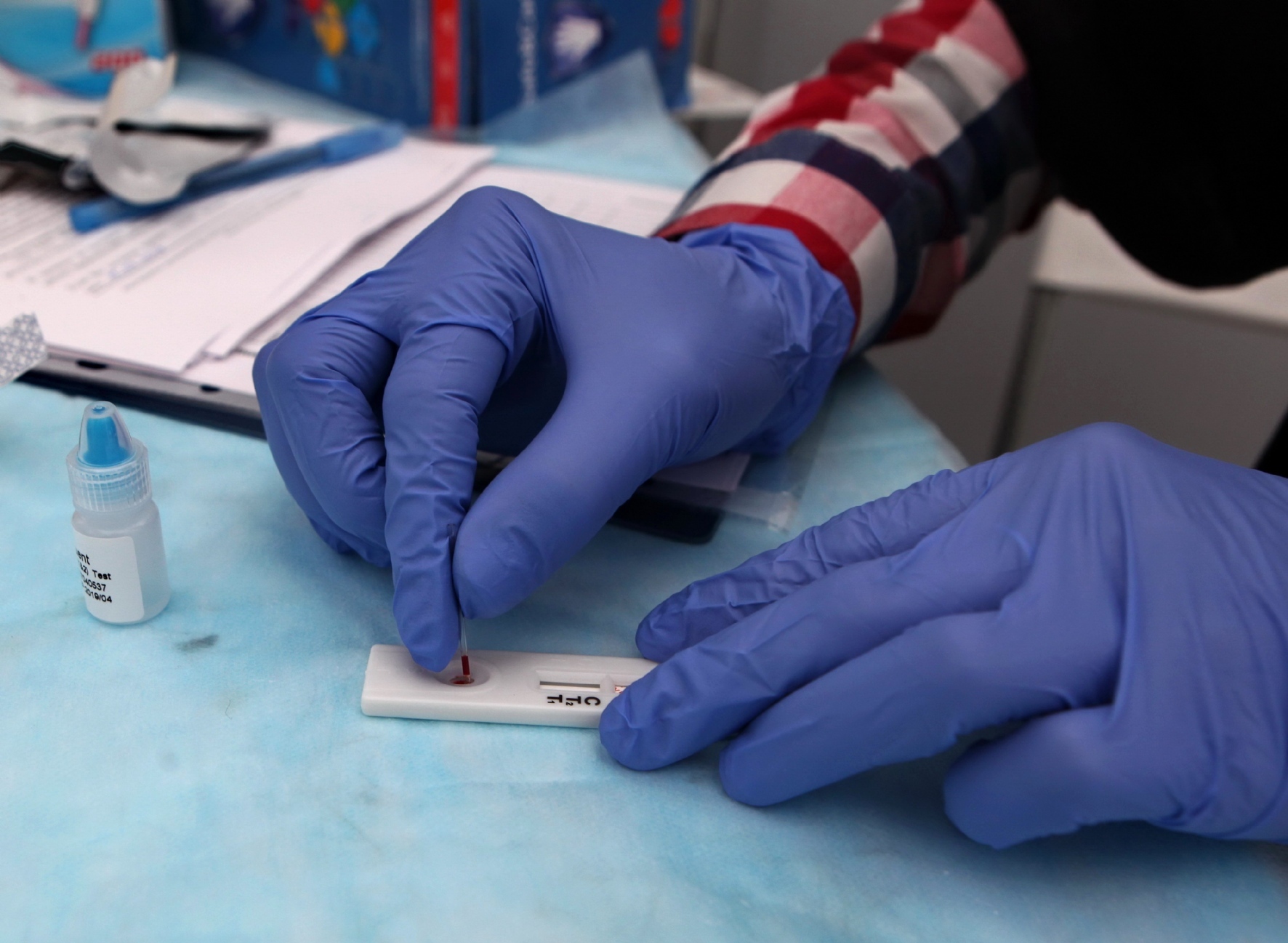 Фото: Степанов Евгений/PhotoXPress.ru