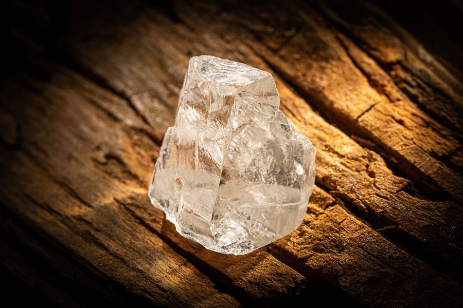 Фото: Tsybulskiy_A / Telegram