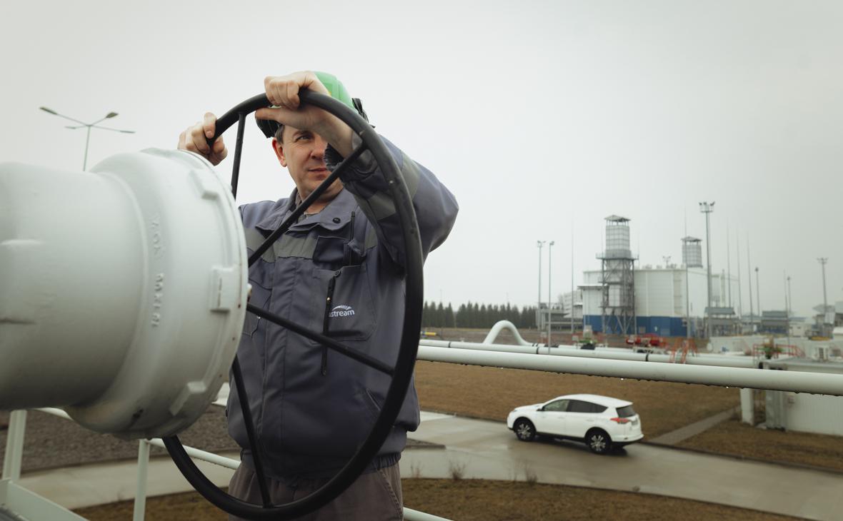 Фото: Robert Nemeti / Getty Images