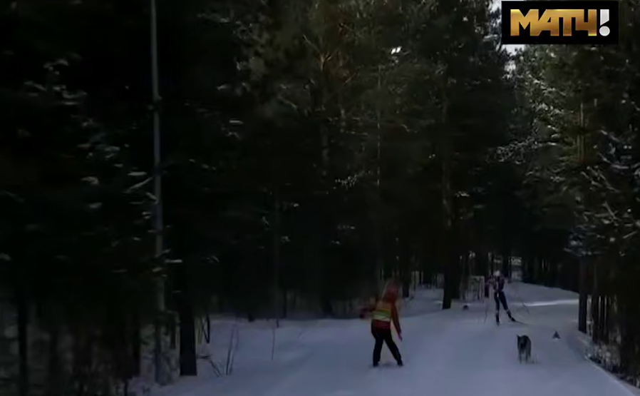 Фото: скриншот с трансляции