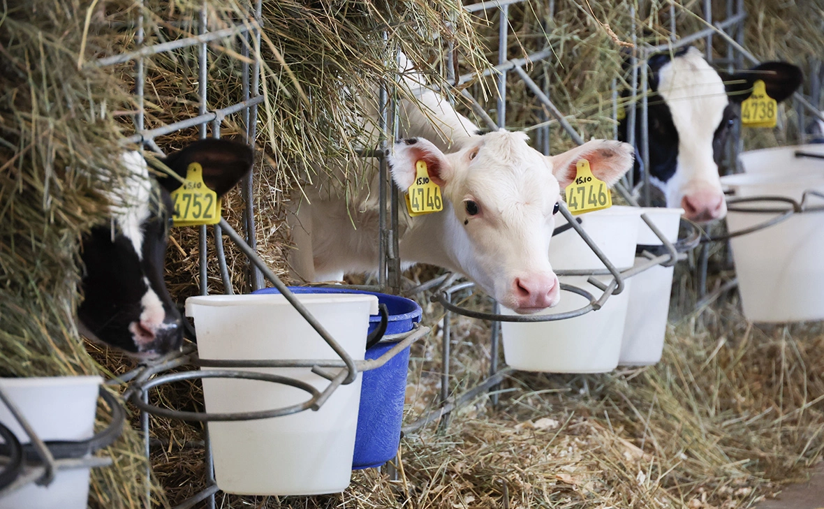 Кирилл Кухмарь / ТАСС