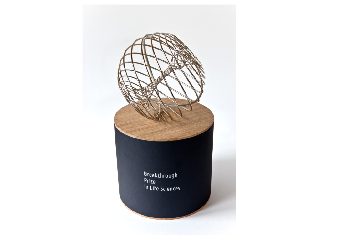 Так выглядит статуэтка Breakthrough Prize