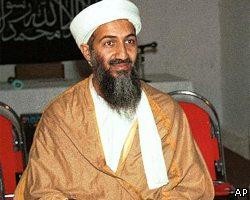 У.бен Ладен начал мстить властям Франции за притеснение мусульман 