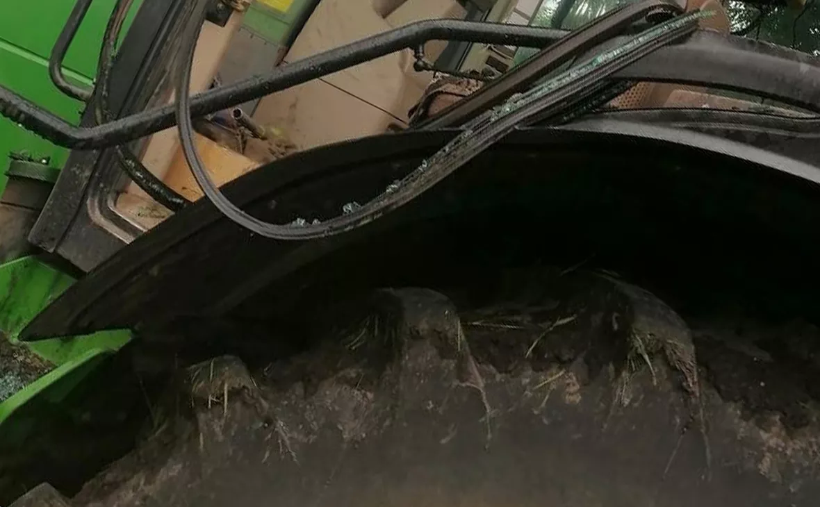 gubernator_46 / Telegram