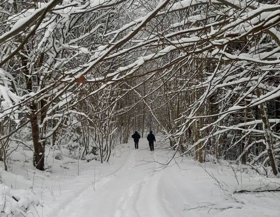 Фото: пресс-служба нацпарка "Виштынецкий"