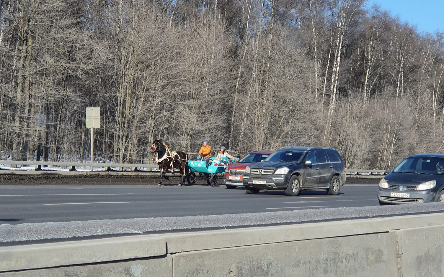 В Москве на МКАД выехала гужевая повозка с лошадью. Фото