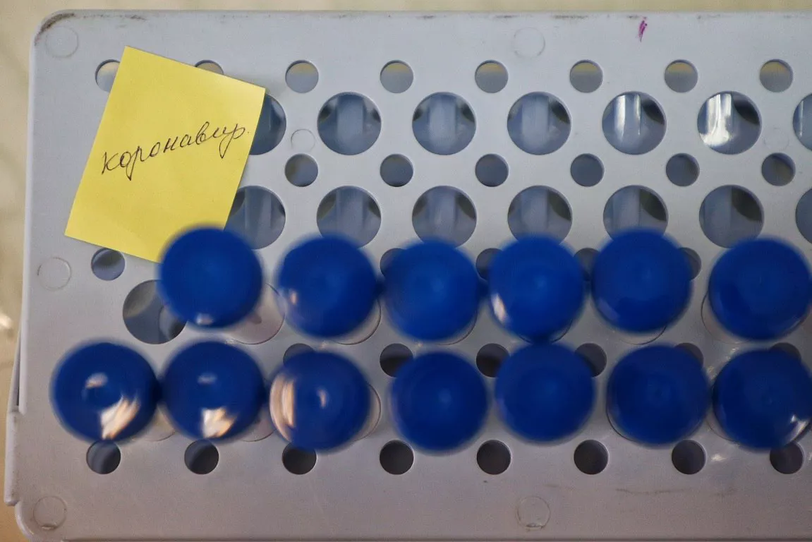 Александр Подгорчук