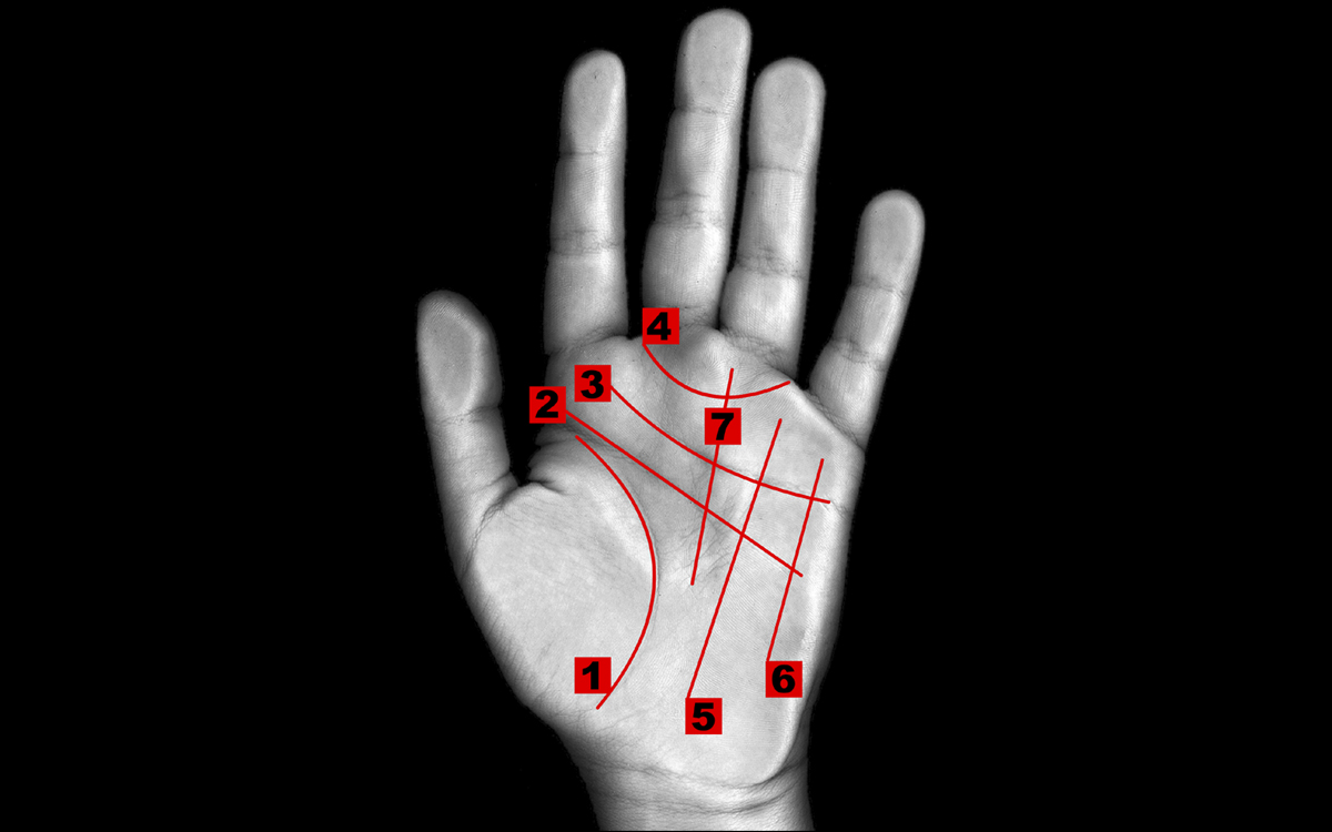 Хиромантия: что такое, линии на руке и их значение, почему не работает |  РБК Тренды