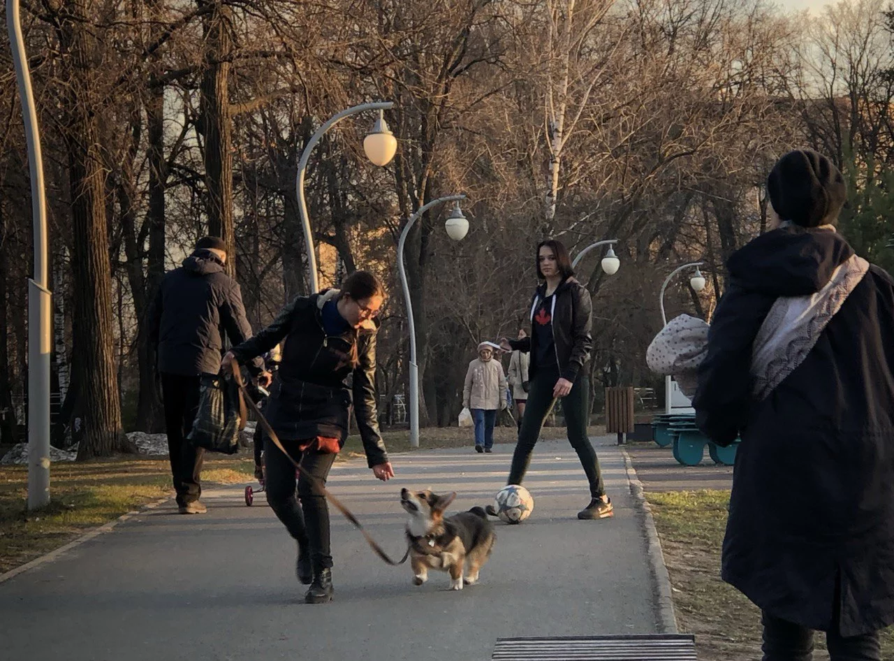 РБК Татарстан