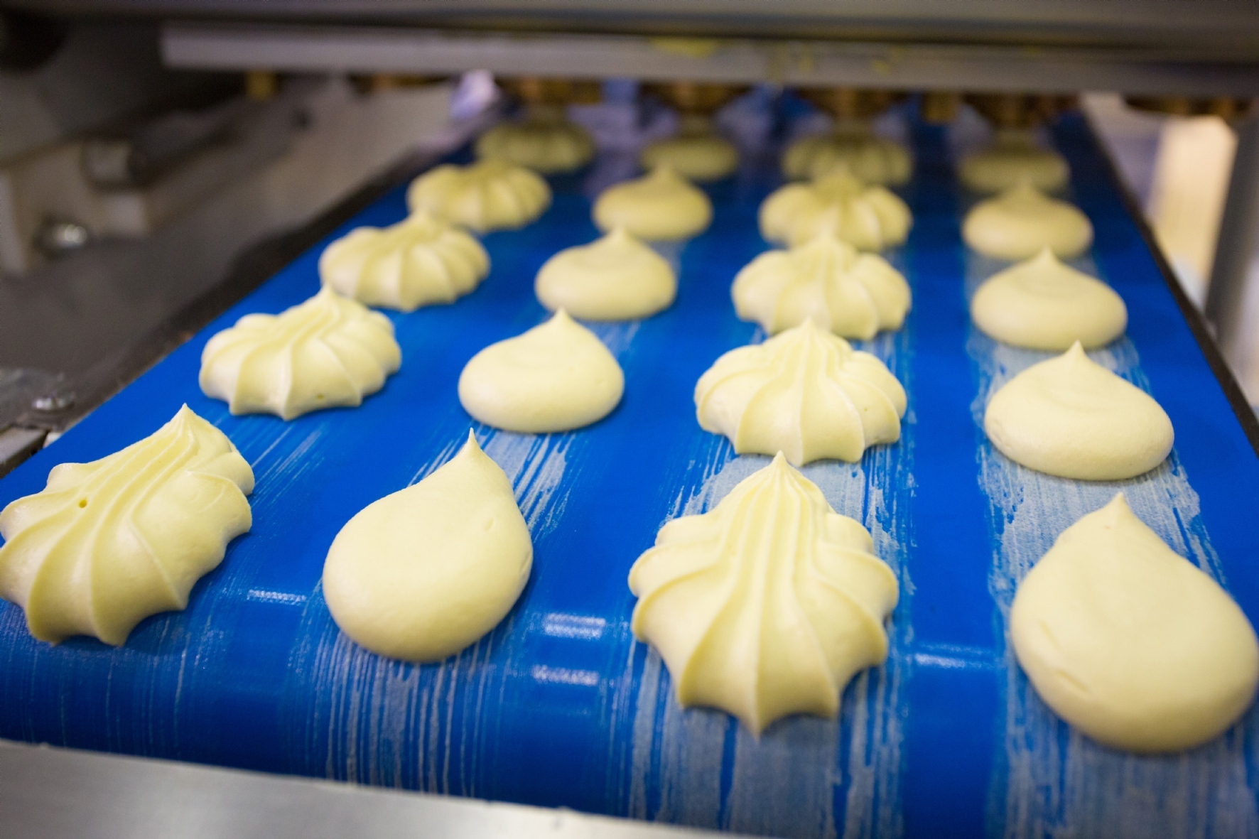 Фото: Калинин Дмитрий / PhotoXPress.ru