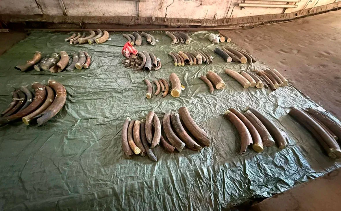 ФТС России / Telegram