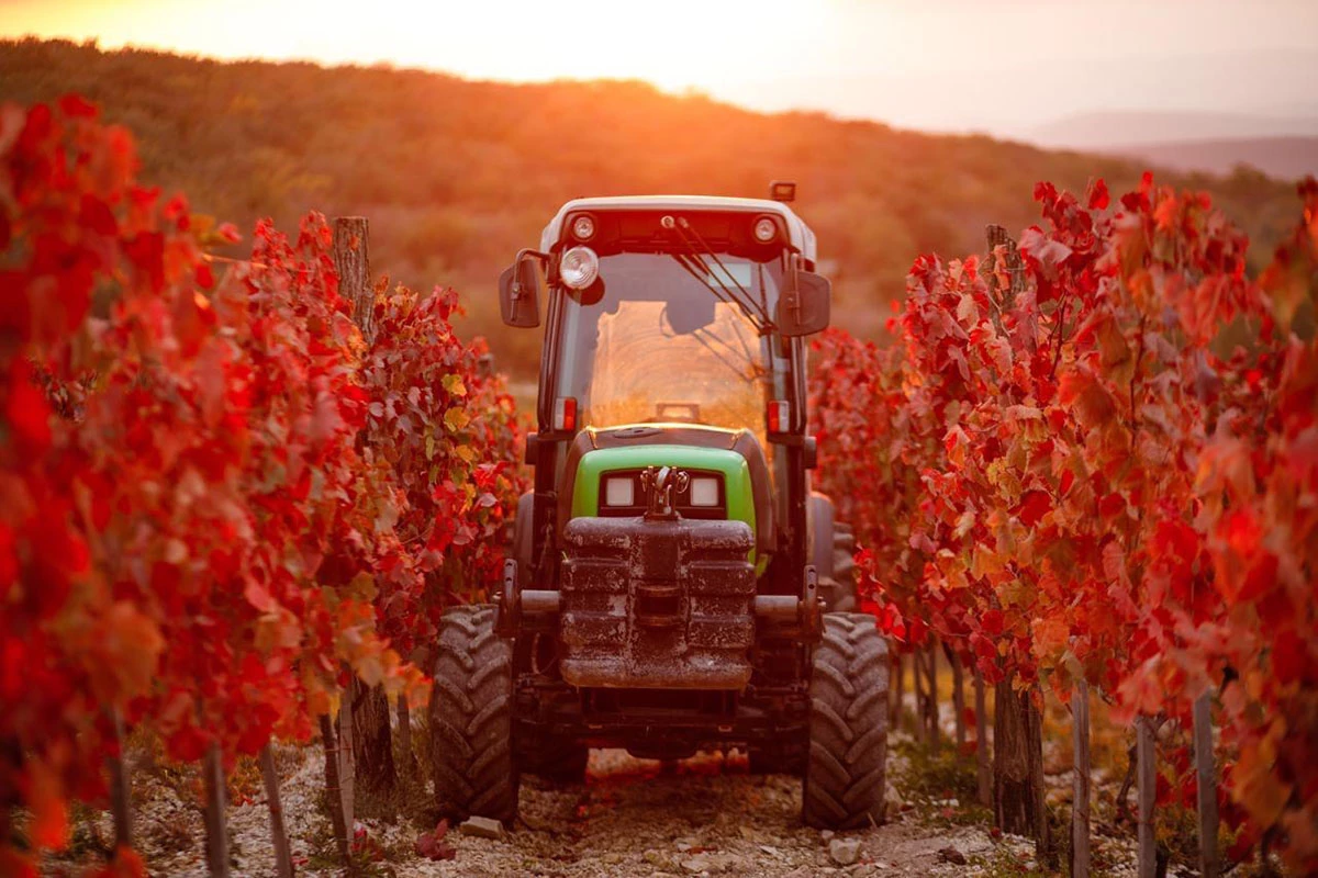 Винодельня Le K2