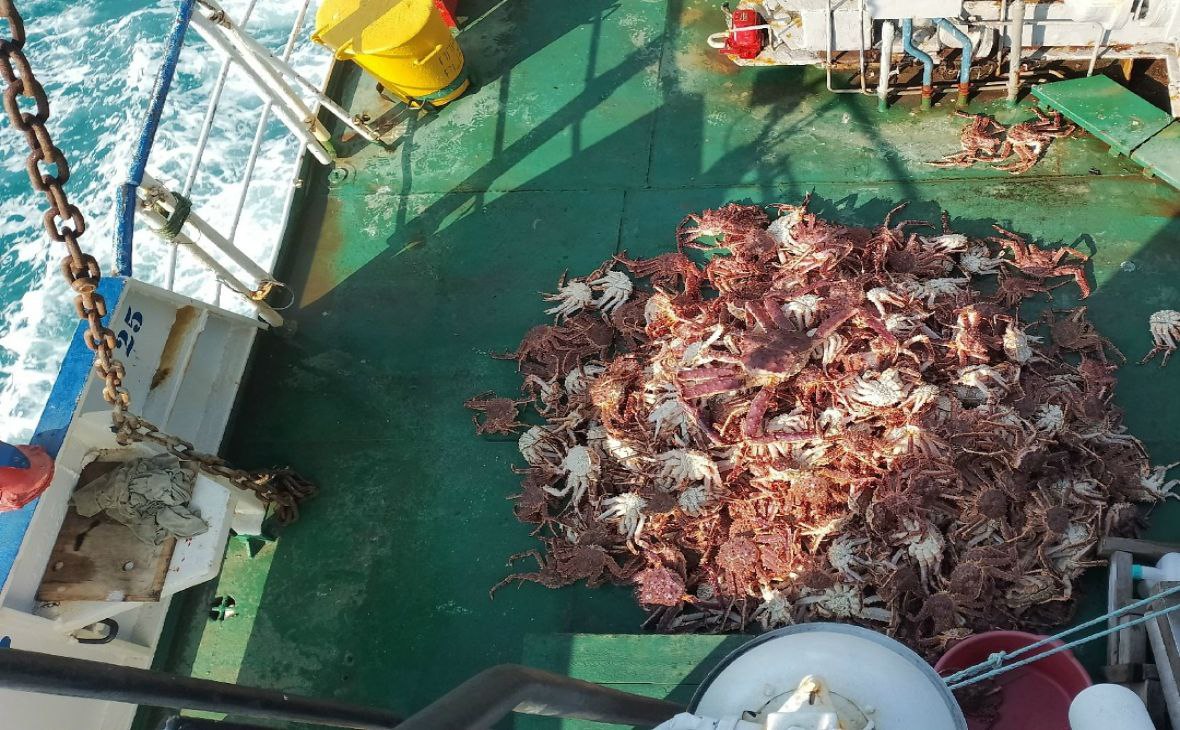 Фото: pinro.vniro.ru