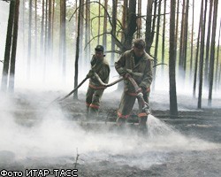 В пожарах погибают леса Сибири и Дальнего Востока