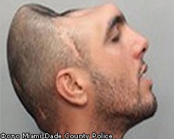 Полиция арестовала преступника с половиной головы