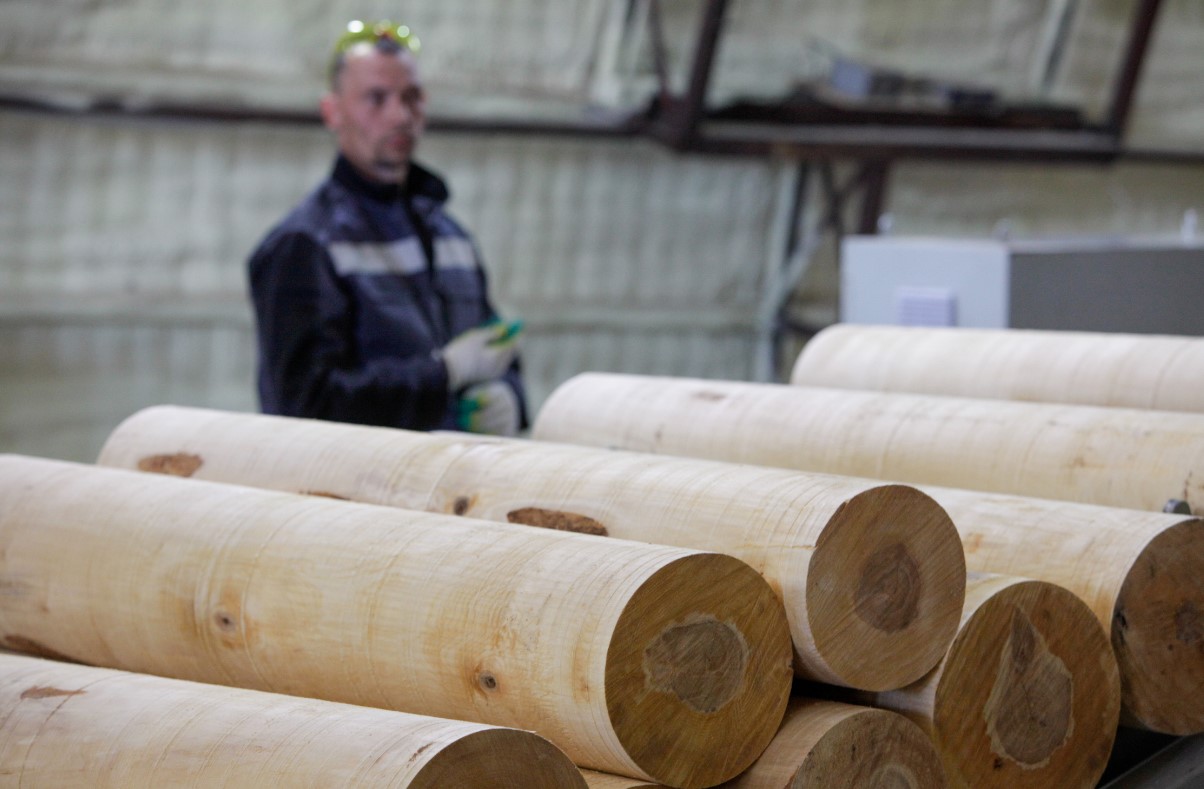 В настоящий момент уже заключены договора с департаментом лесного комплекса по аренде лесных участков для заготовки древесины