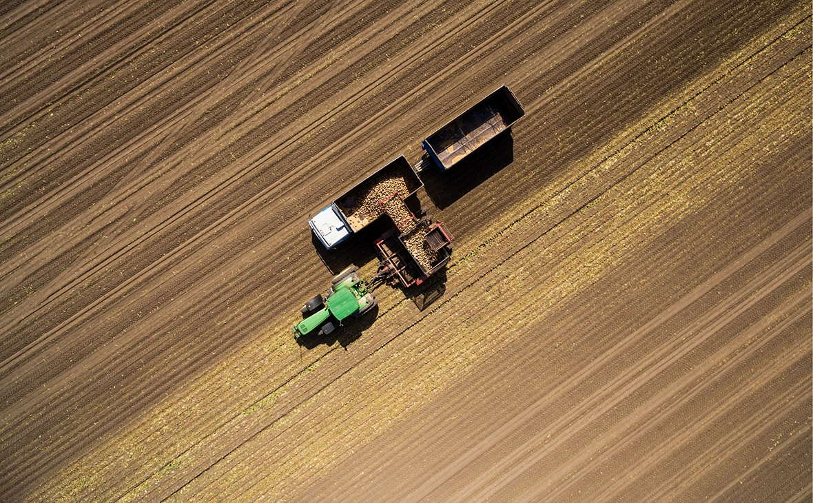 Виталий Тимкив / ТАСС