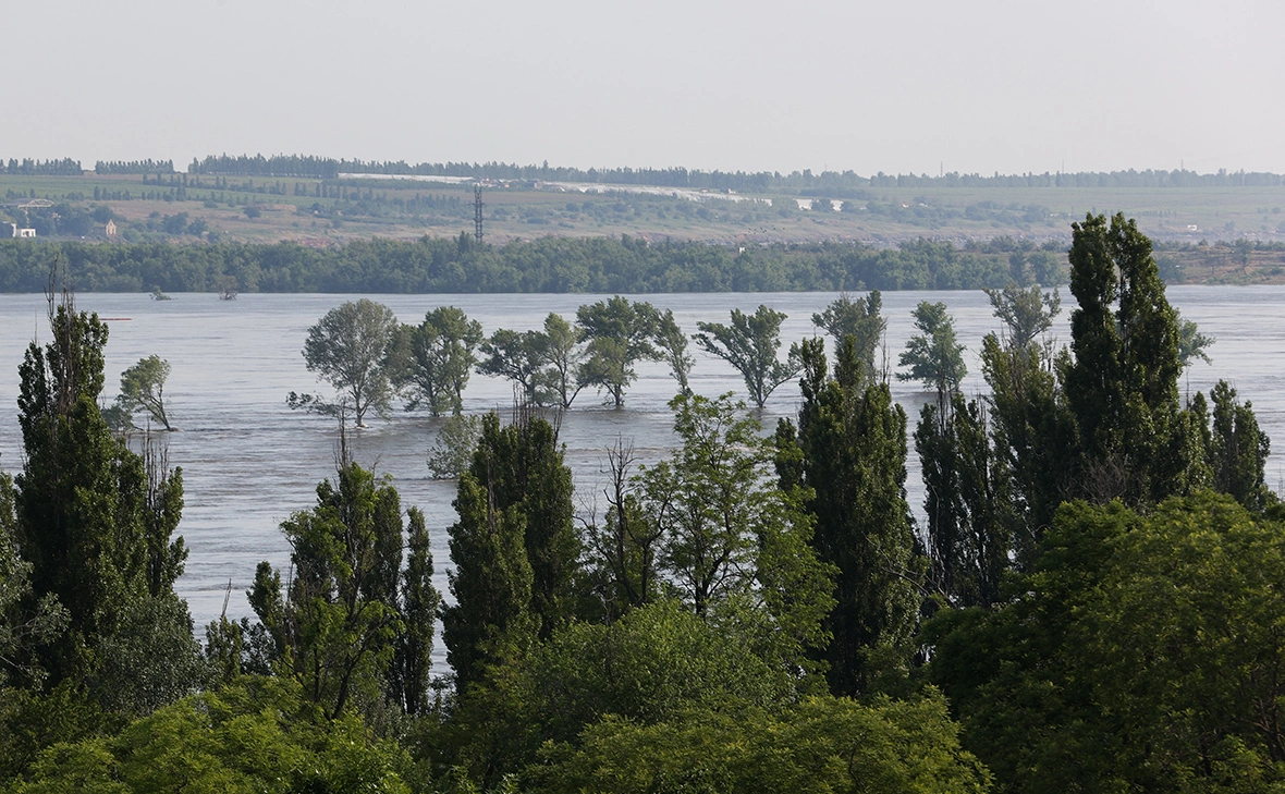 Алексей Коновалов / ТАСС