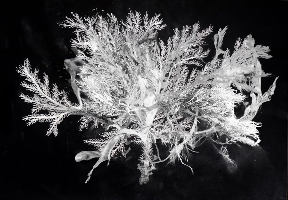 Некоторые работы цикла TTL