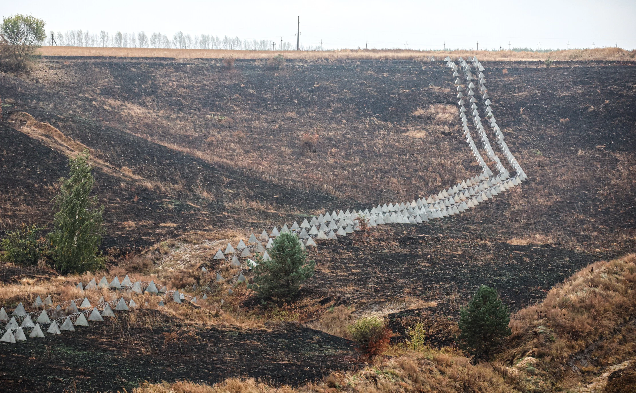 Михаил Климентьев / ТАСС