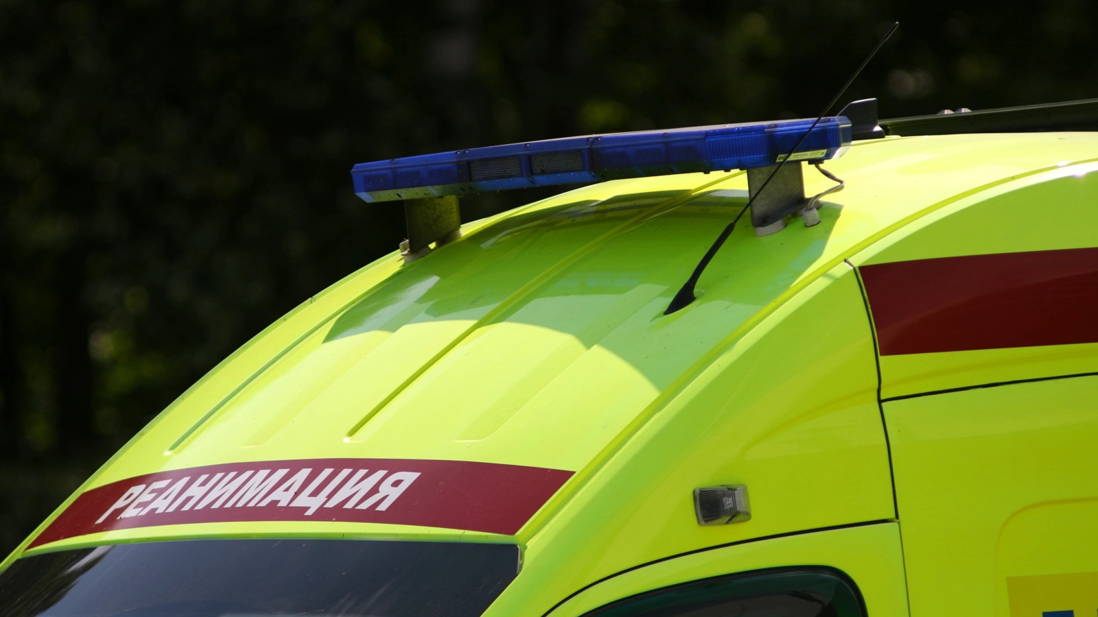 На базе отдыха в Дагестане отравились 28 человек