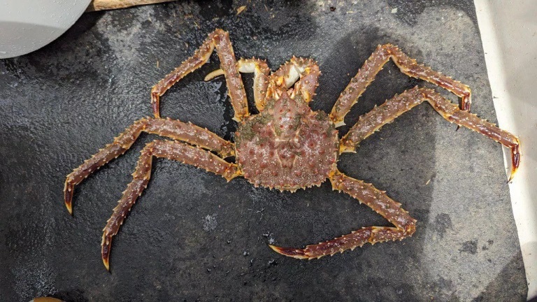 Фото: РБК Приморье