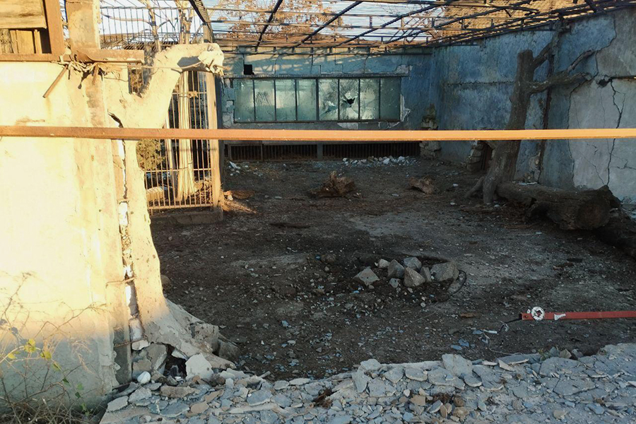 Фото: BalitskyEV / Telegram