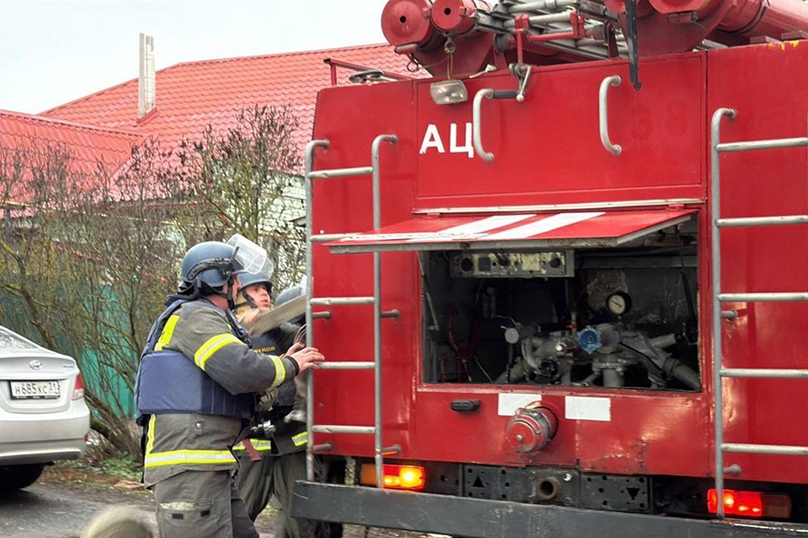 Фото: vvgladkov / Telegram