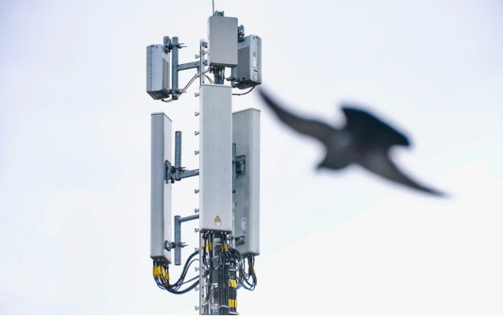 Фото: Michael Gstettenbauer / imagebroker.com / ТАСС