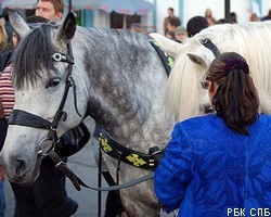 Новый зоопарк Северной столицы займет почти 300 га 