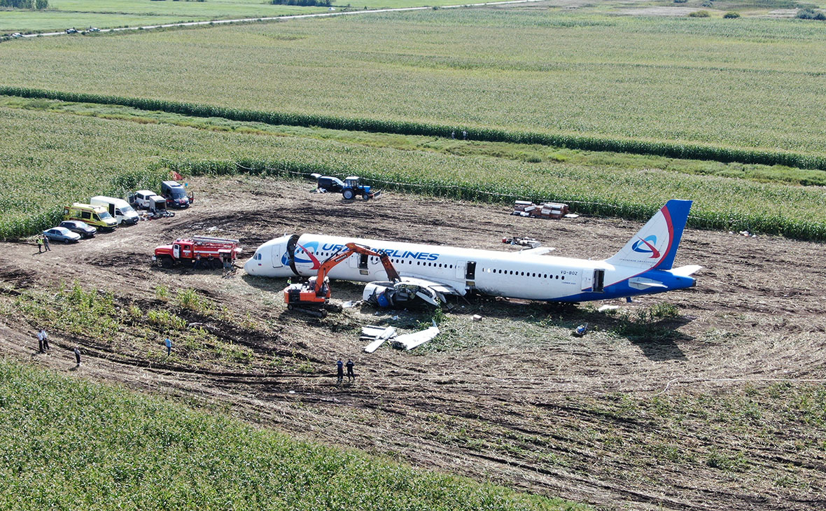 Причиной аварии Airbus A321 при которой самолет был вынужден сесть в кукурузном поле, стало попадание чаек в двигатели