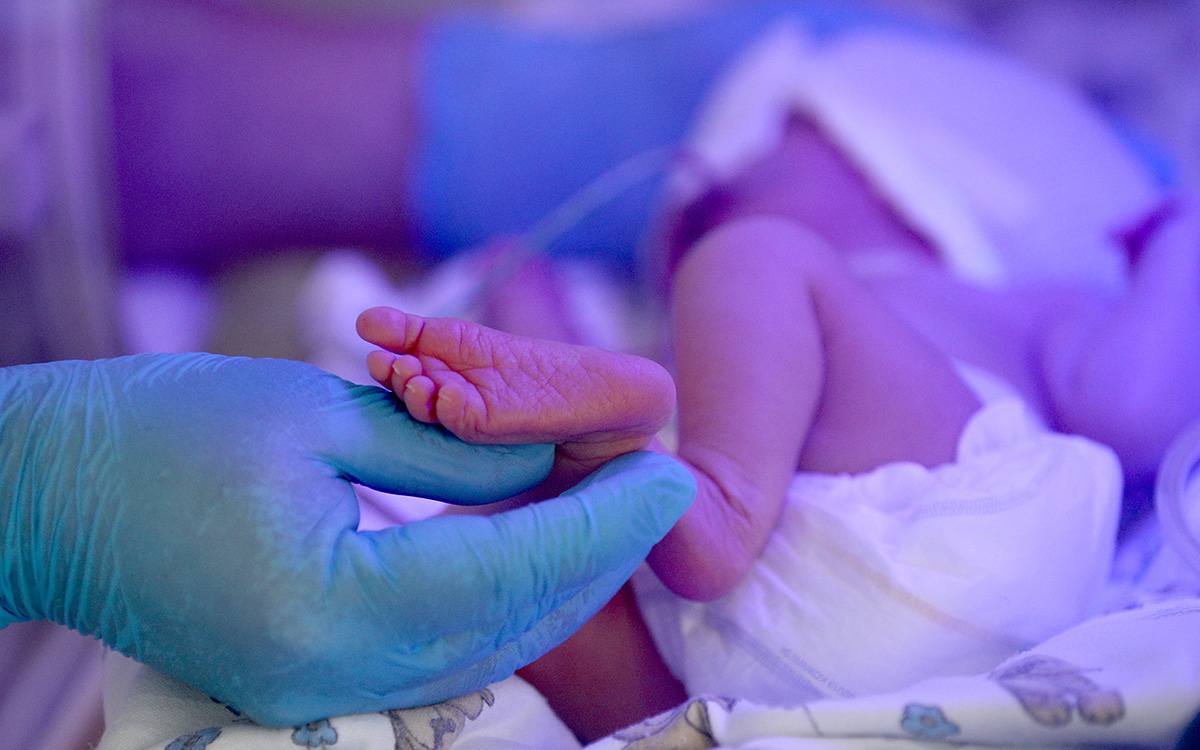 ПФР спрогнозировал рождение 1,37 млн детей в России в следующем году