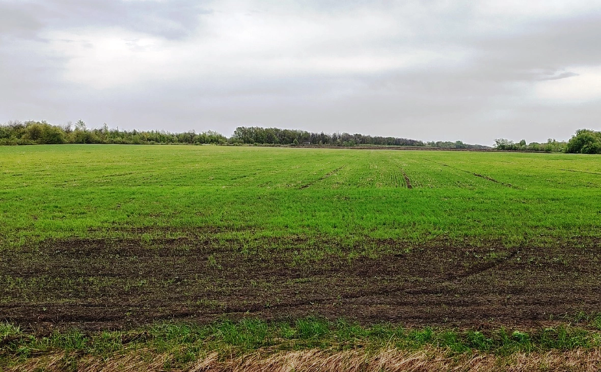 РБК Черноземье 