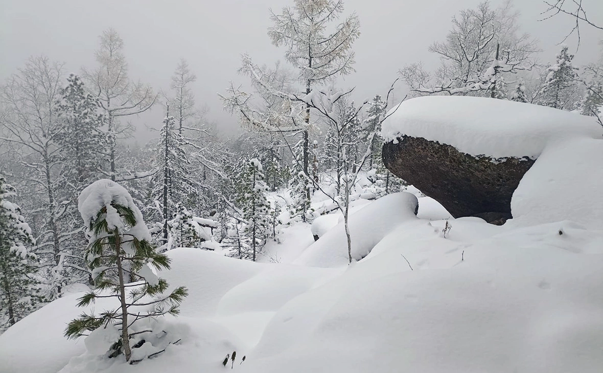 Алексей Исиченко для РБК