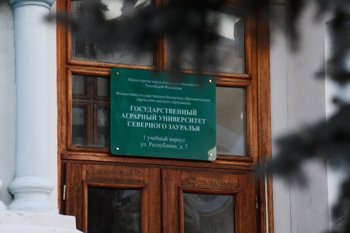 Фото: Илья Московец / URA.RU