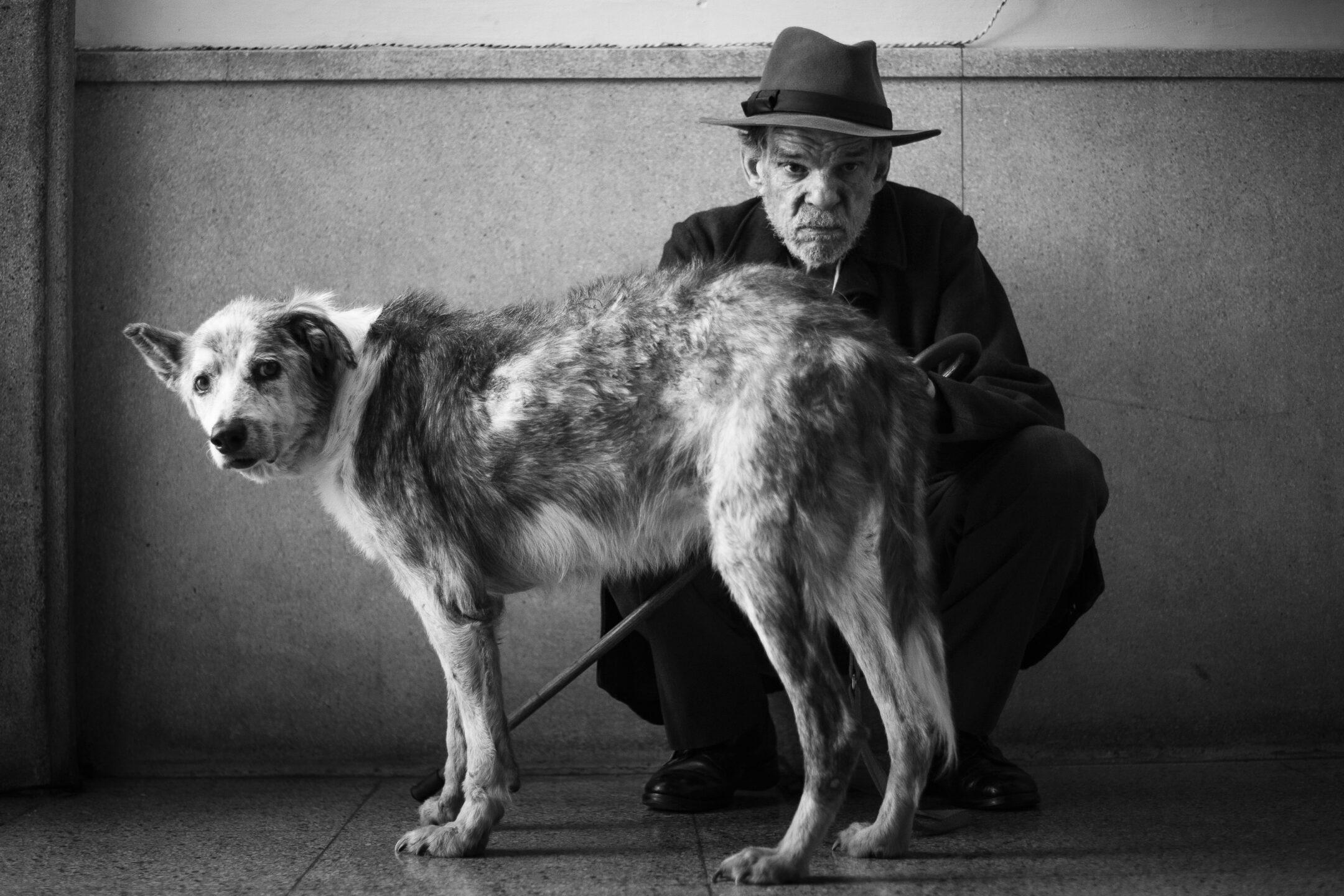 Роттердамский фестиваль-2026: египетские драмы и эпопея о Палестине