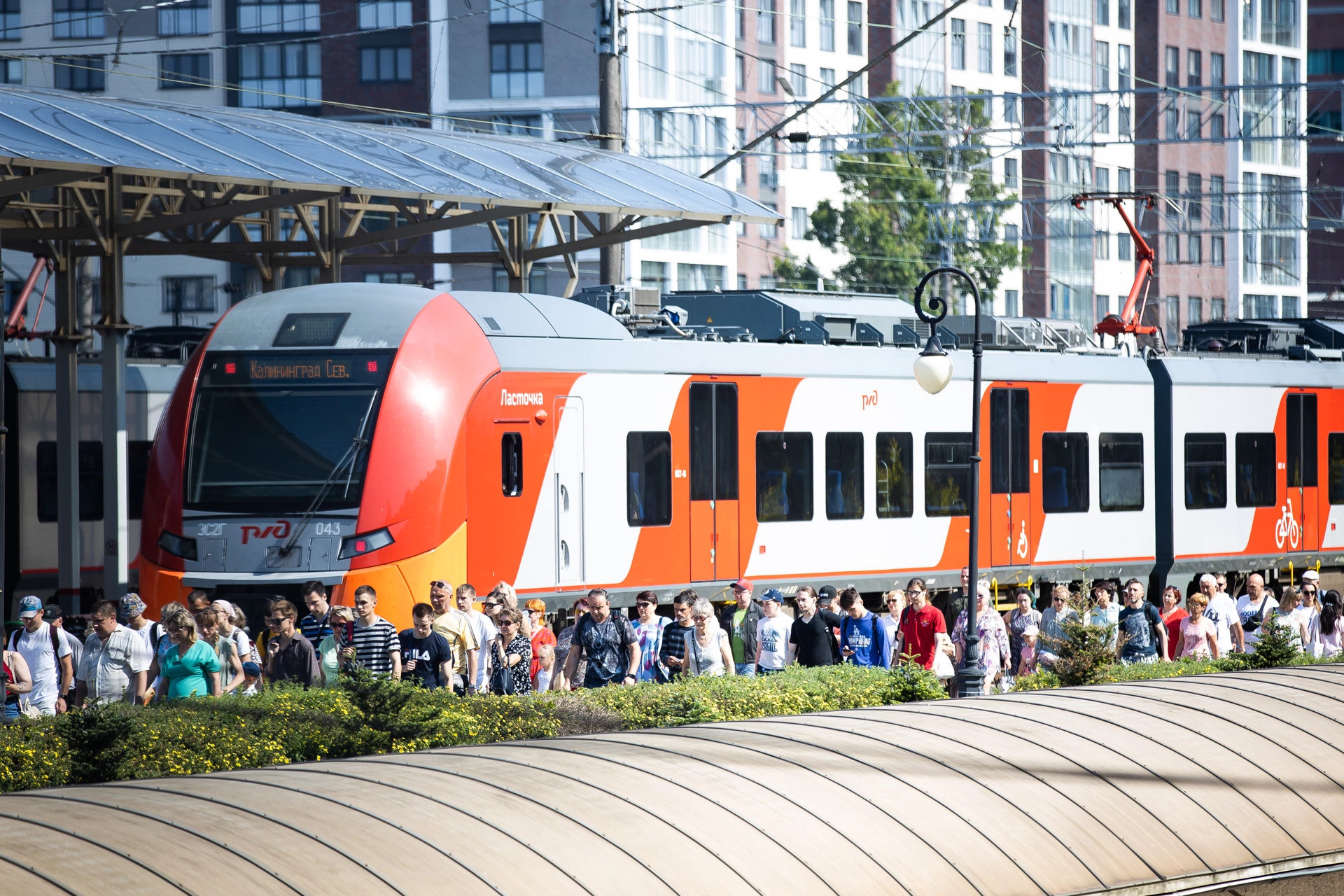 Александр Подгорчук