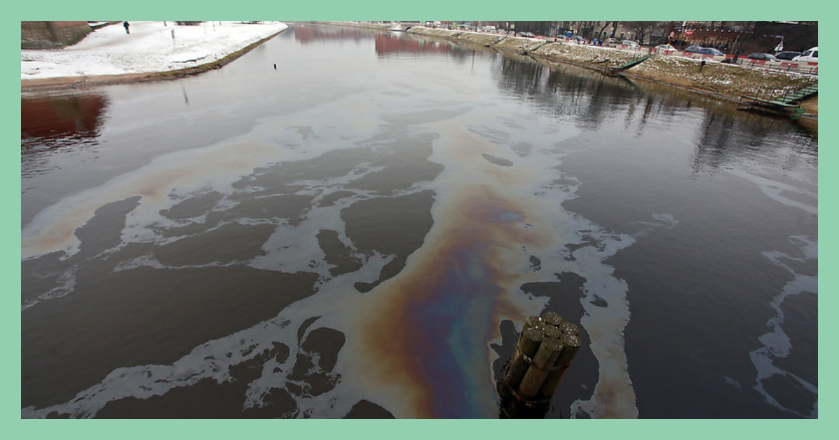Насколько грязно. Загрязнение воды в Санкт-Петербурге.
