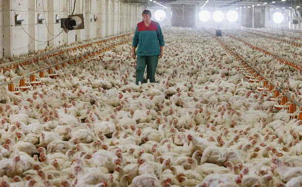 Егор Еремов / РИА Новости